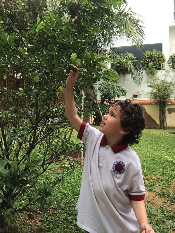 When Will There Be A Harvest